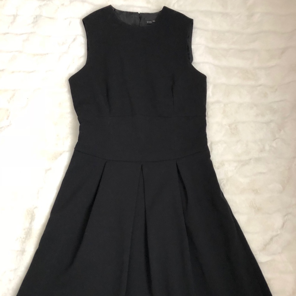 Re-posh Zara A- line Dress